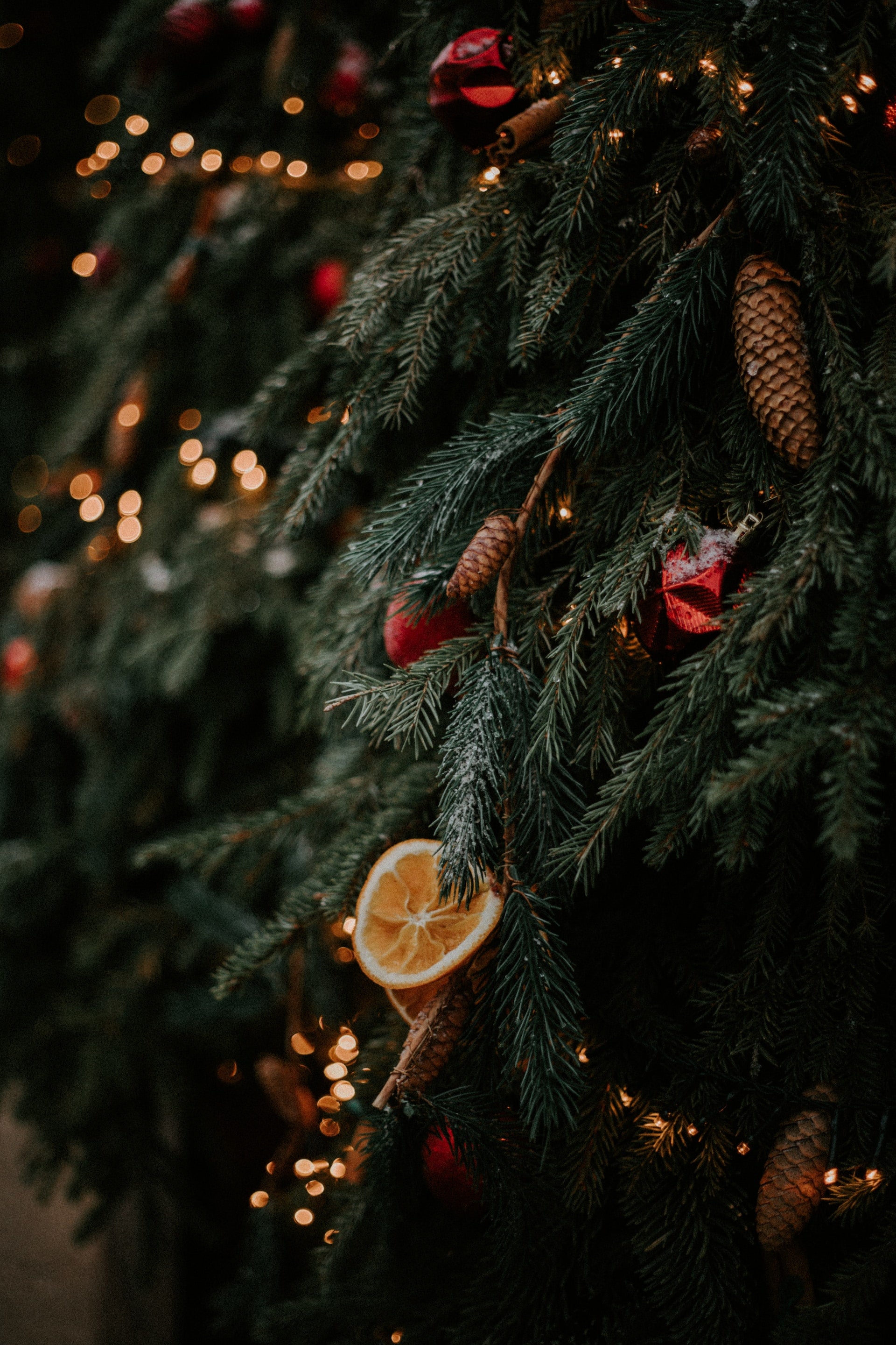 🤶🏻 Christmas BIG Sale 🐿️