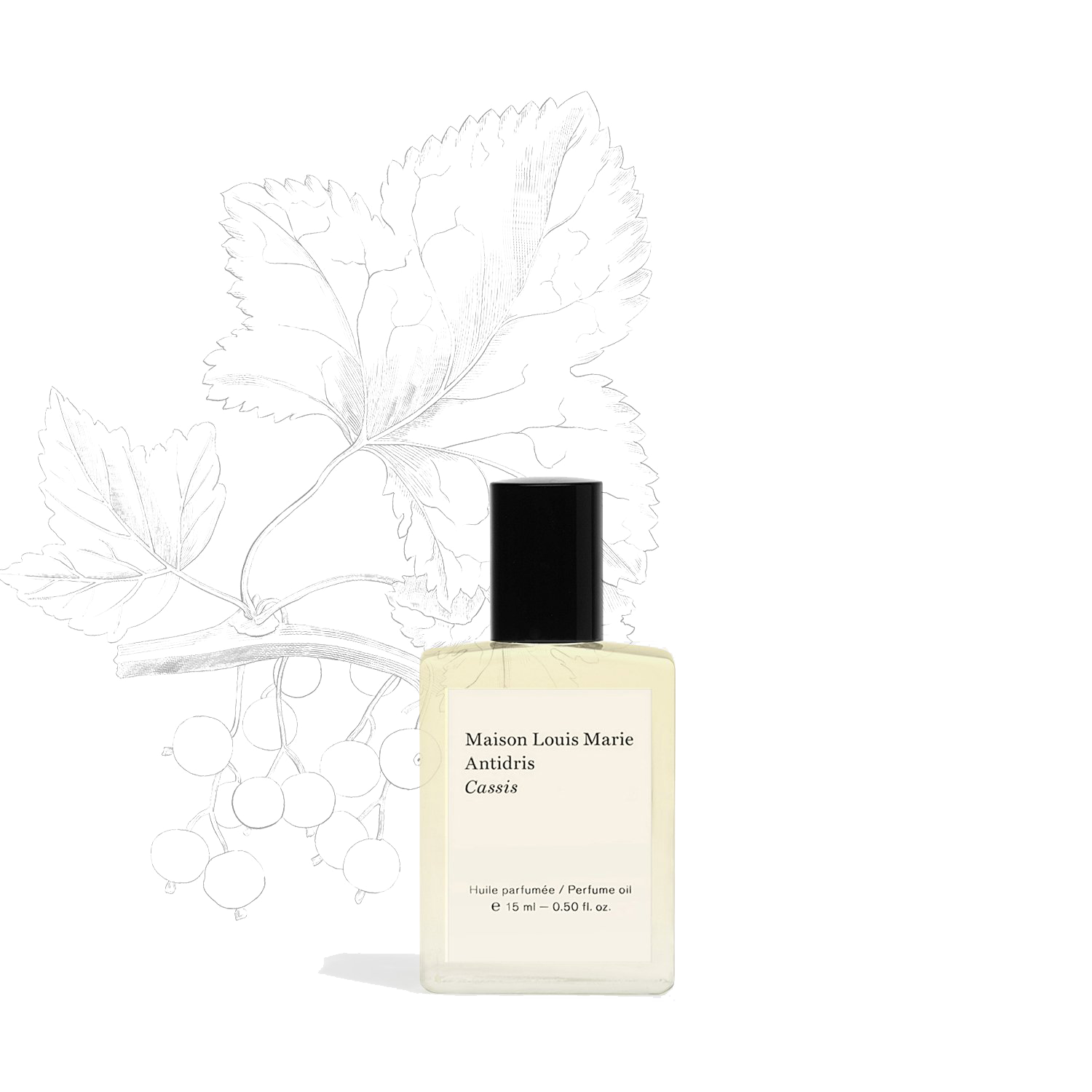 Perfume Oil - Antidris Cassis 15ml